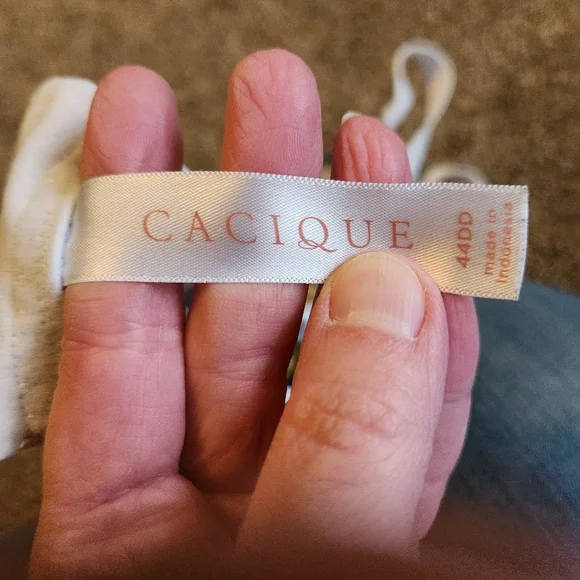 Lot Of 2 Cacique Bras Size 44D Green Polka Dot Blue White Striped Adjustable - Picture 7 of 8